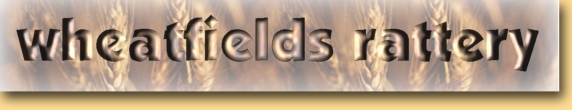 Main header